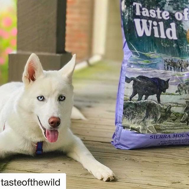 Thức Ăn Cho Chó Husky Taste Of The Wild Bao 2kg - Thức Ăn Cho Chó, Vị Thịt Cừu, Trái Cây Rau Củ Quả