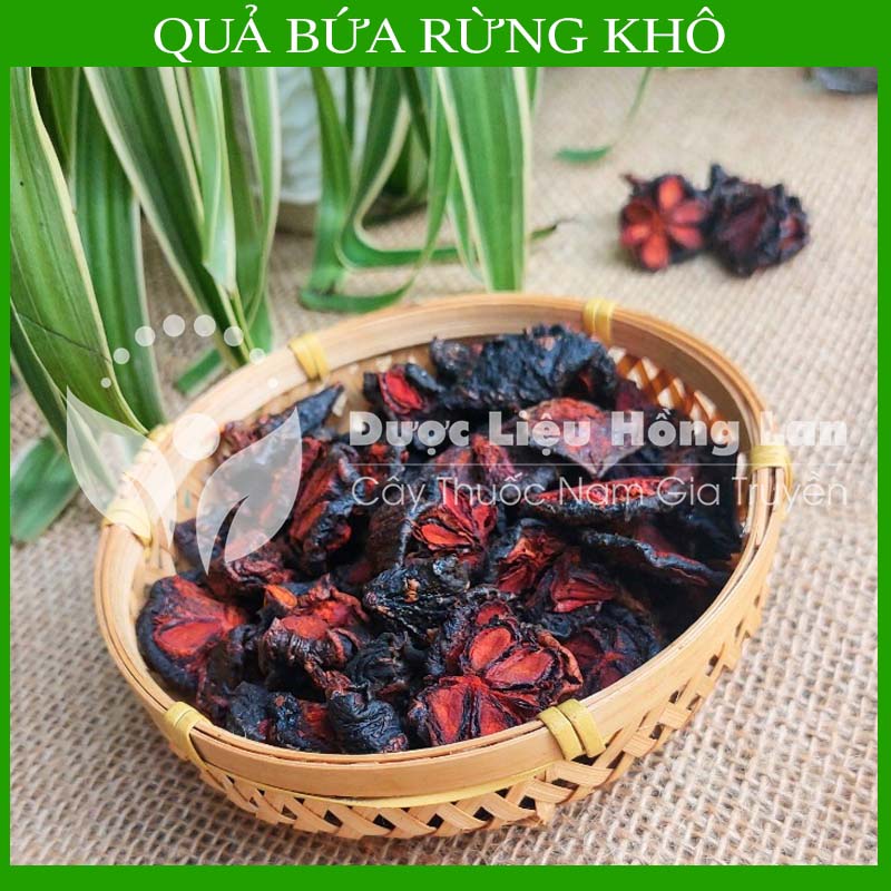 1kg Quả Bứa Rừng khô (Quả măng cụt rừng)