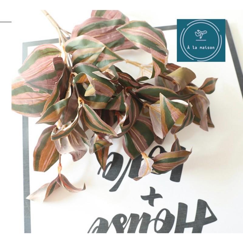 Cụm lá Peperomia cao 36cm bằng lụa dùng decor trang trí không gian sinh động tươi tắn, hoa event