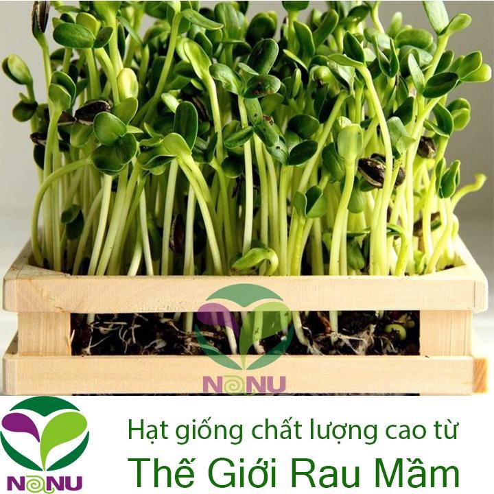 Hạt Giống Mầm Hướng Dương - 1Kg