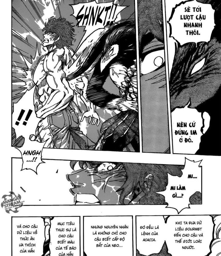 thánh tỏi sành ăn chapter 389 34