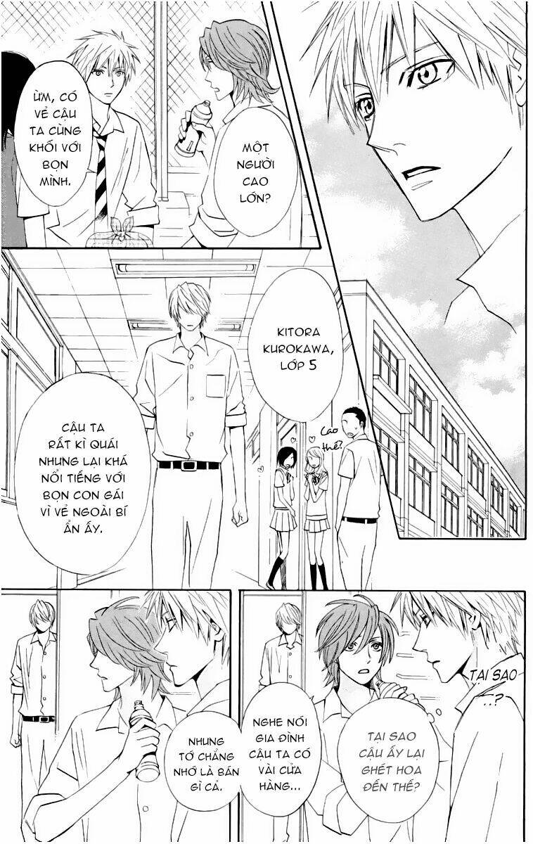 chàng trai hoàn hảo chapter 14 14