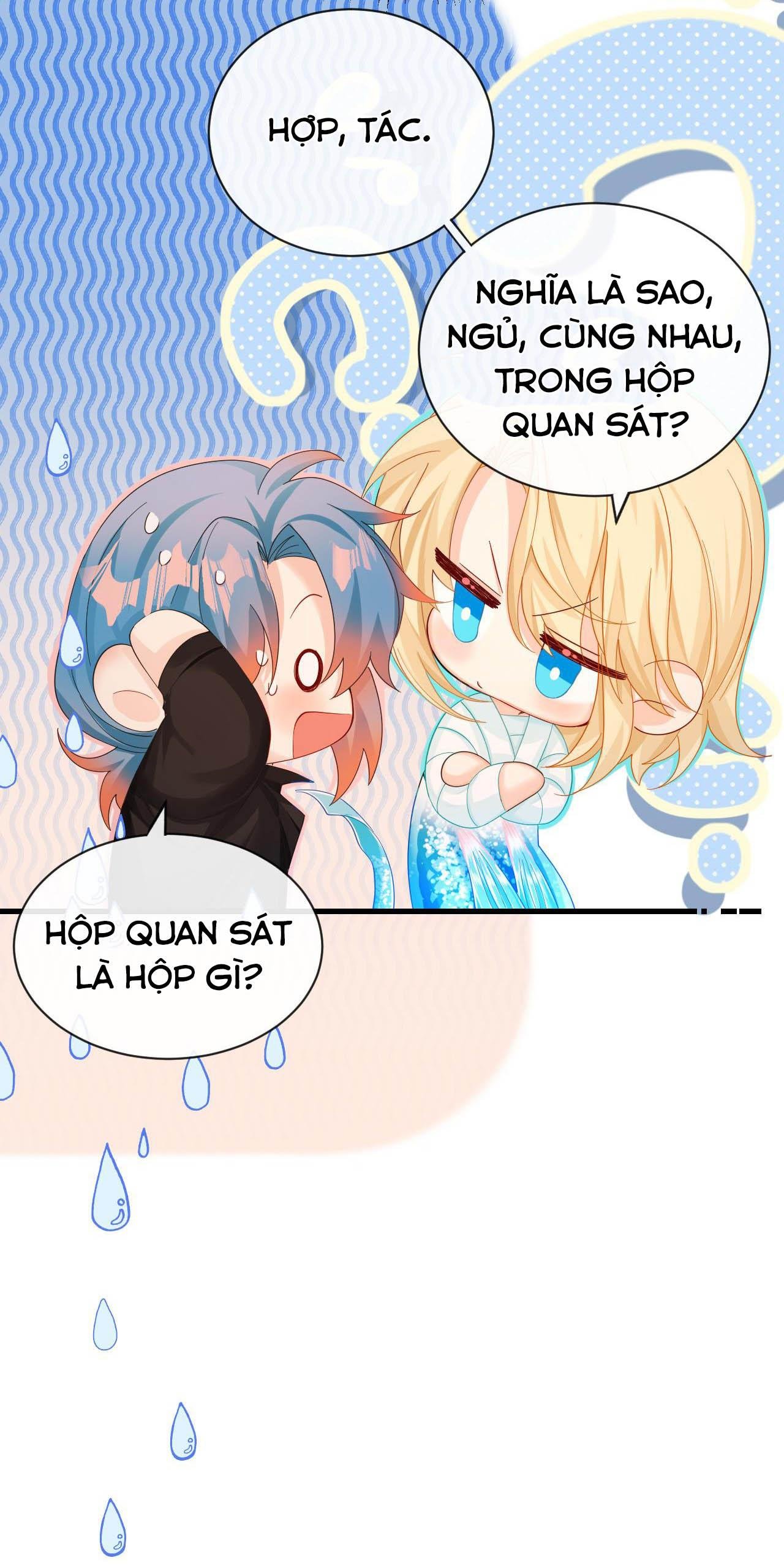 nhân ngư sa ngã chapter 42 35