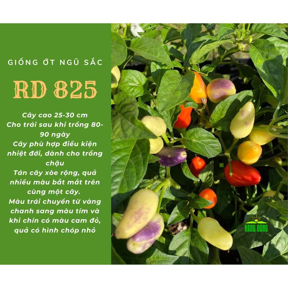 Hạt giống ớt ngũ săc, đóng gói 0.1gr