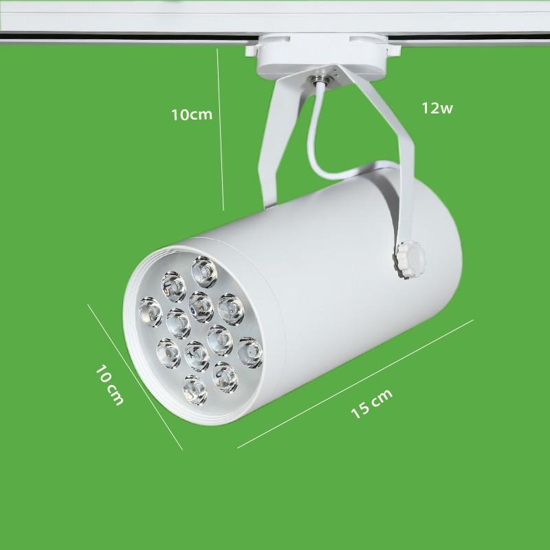 Đèn Rọi Ray HG mắt ếch 12W màu trắng