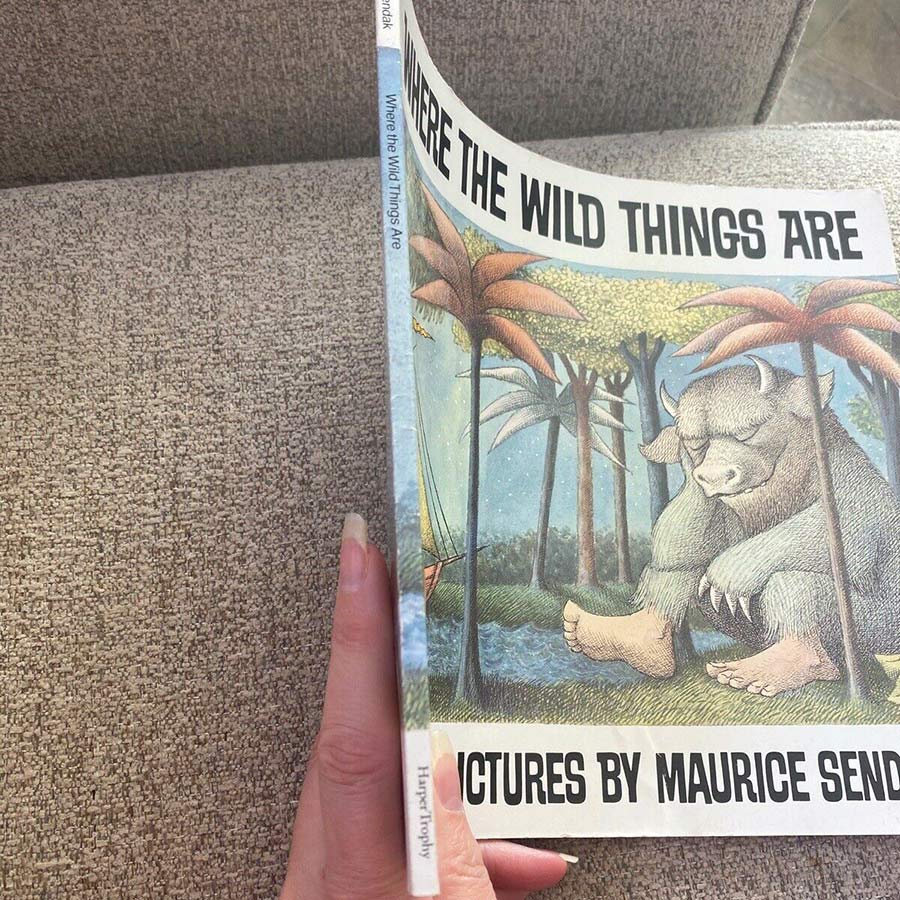 Where The Wild Things Are (Winner of the Caldecott Medal)