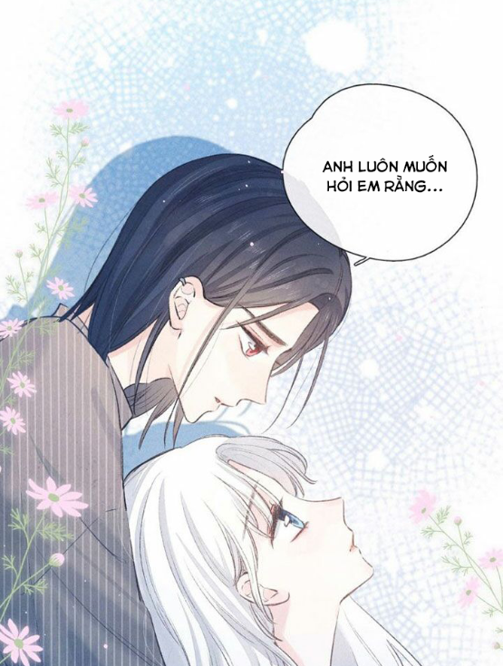 nỗi buồn của hoa cẩm tú cầu chapter 33 7