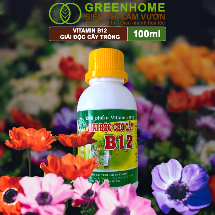 Chế Phẩm Vitamin B12 Greenhome, Chai 100ml, Chống Sốc, Phục Hồi Giải Độc Cho Lan, Cây Cảnh Khi Bị Bón Phân Quá Liều