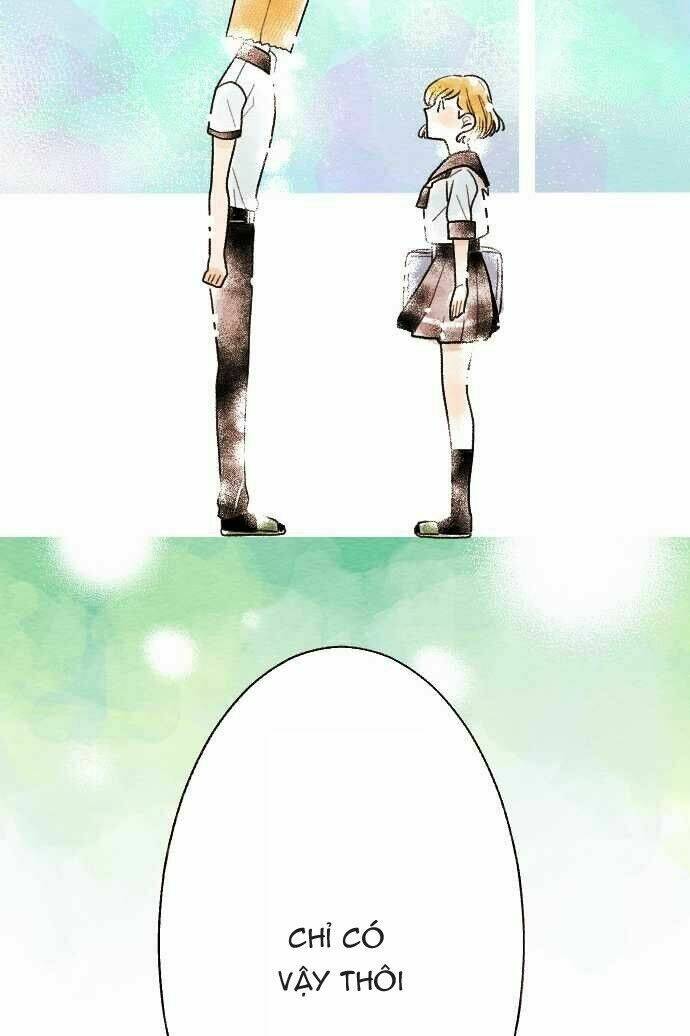 koe koi chapter 13 40