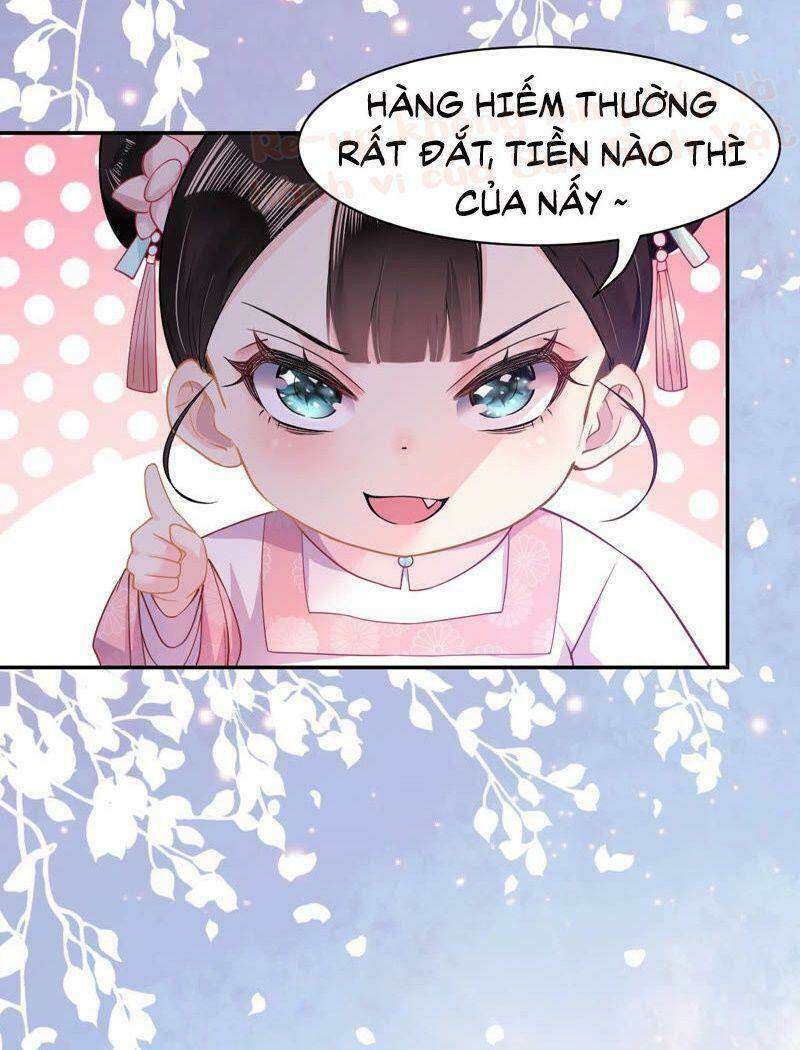 quận chúa vững vàng, thiết lập nhân vật không thể vỡ chapter 3 7