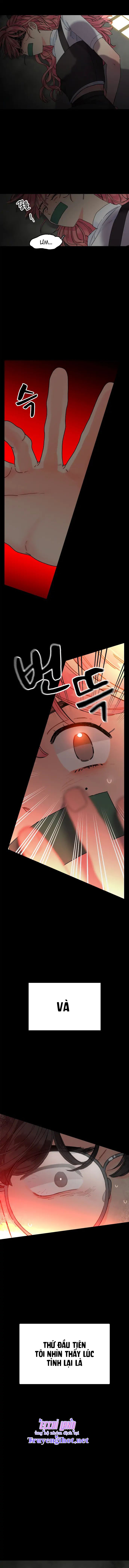 thanh âm tựa hoa hồng chapter 2.2 2