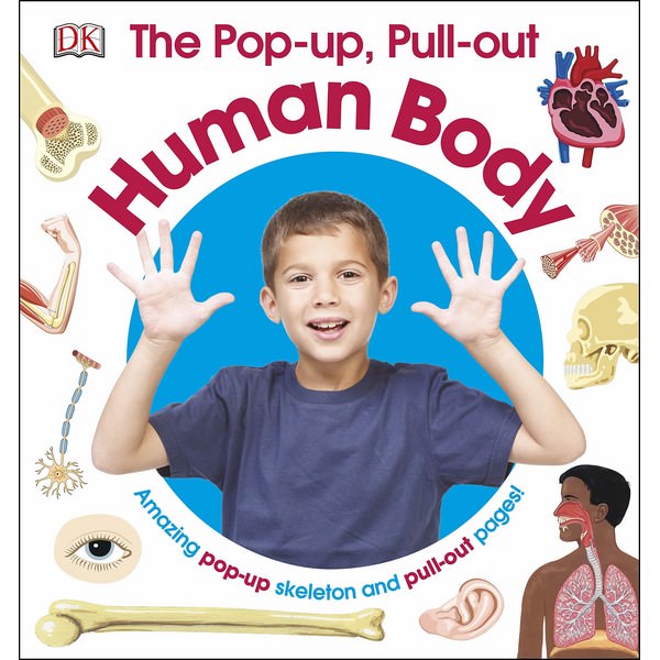 The Pop-Up, Pull-Out Human Body