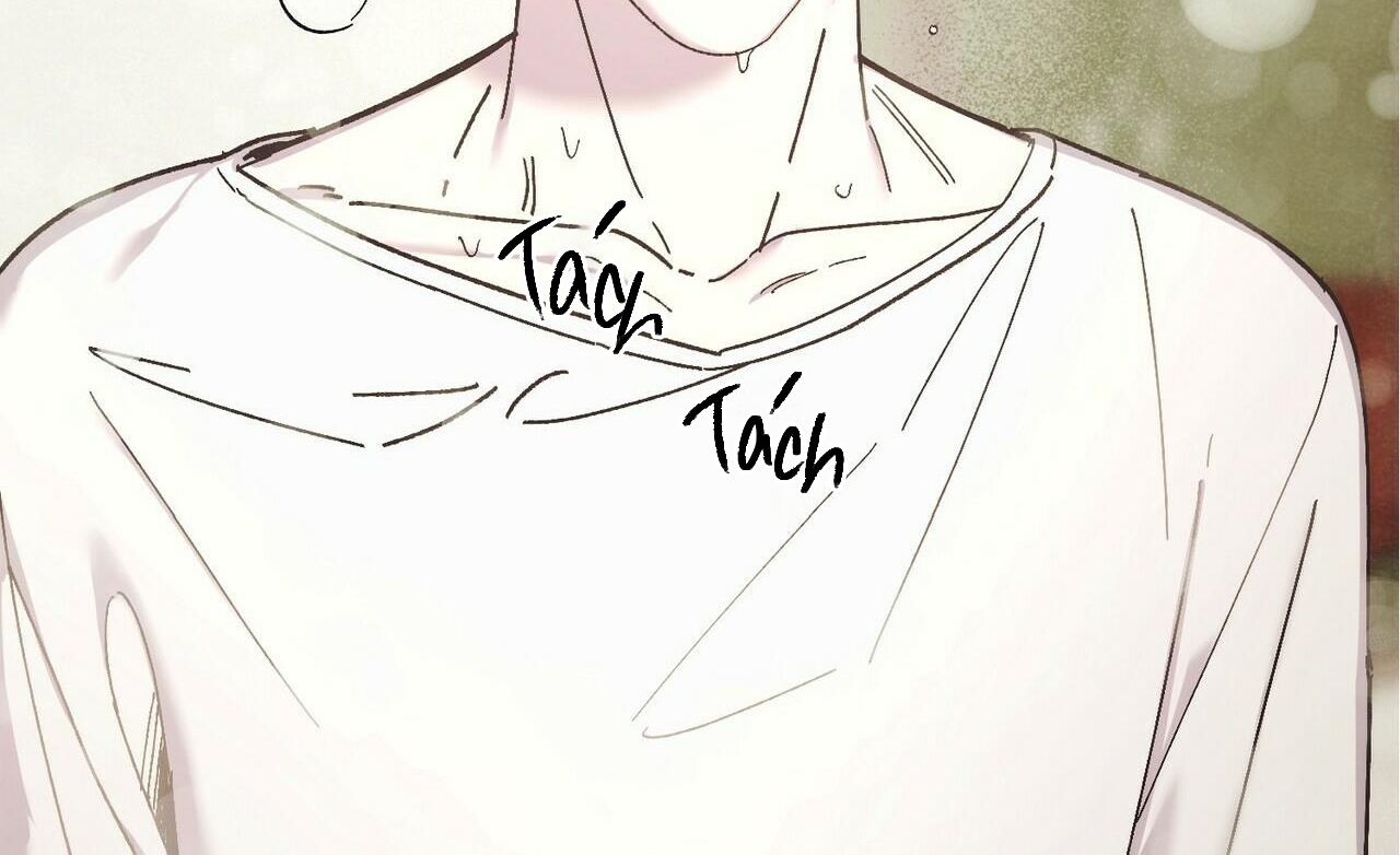 chàng dâu nhà họ kang chapter 29 4