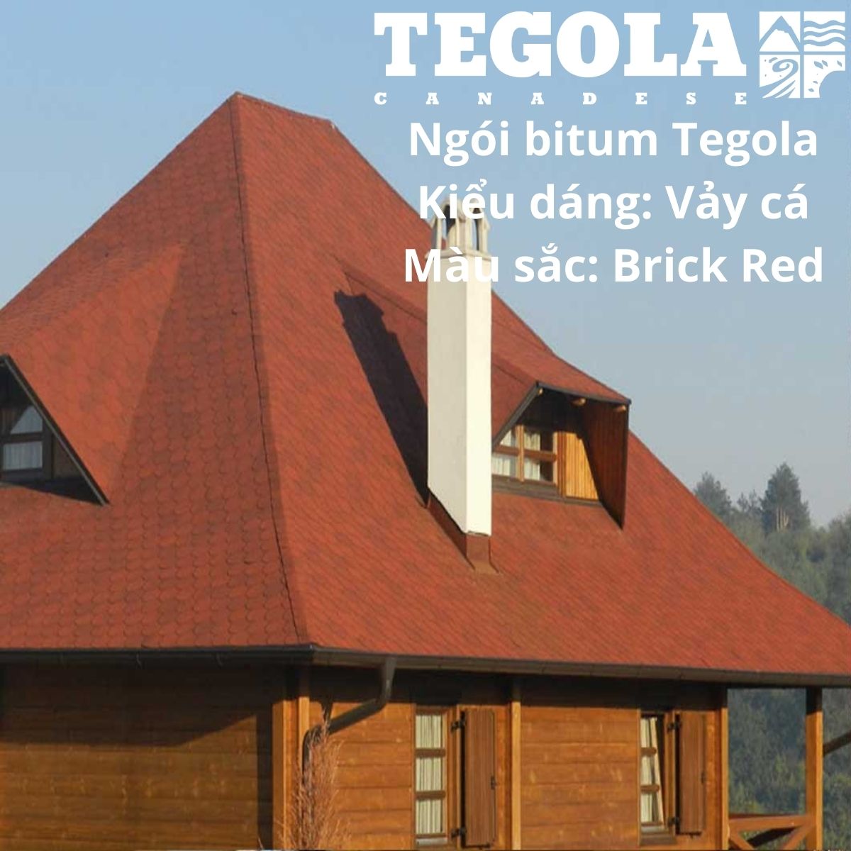 Ngói bitum phủ đá Tegola  - ngói lợp vảy cá màu đỏ Brick Red Italia - chất lượng ngói lợp Châu Âu đóng gói 21tấm/gói phủ 3.05m2 mái