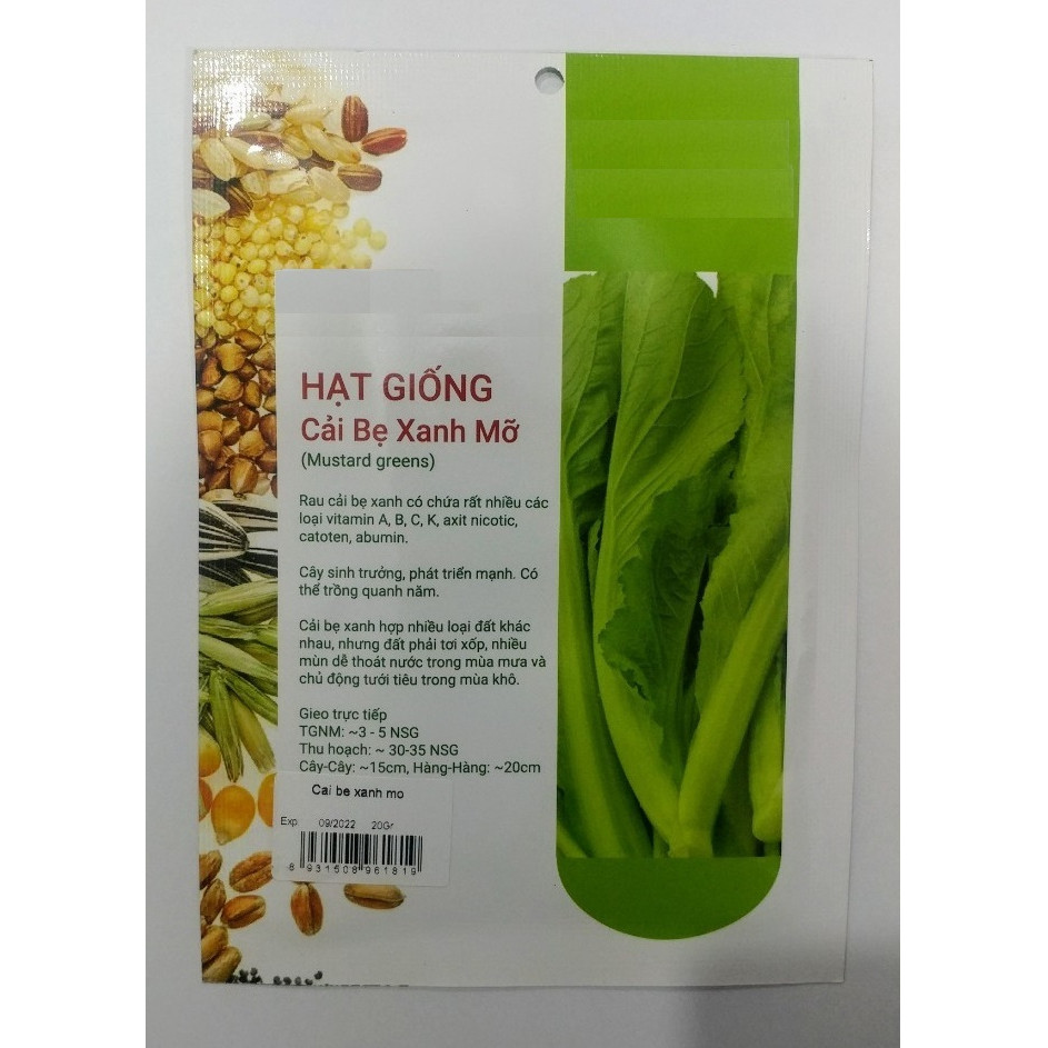Hạt Giống Cải Bẹ Xanh Mỡ