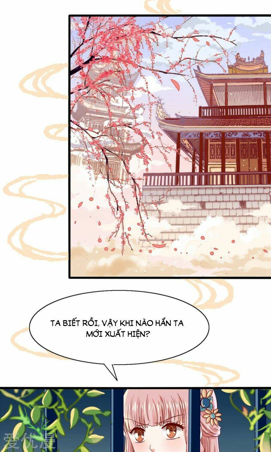 tôi bị gấu trúc nhìn trúng rồi chapter 2 17