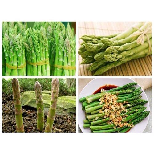 HẠT GIỐNG MĂNG TÂY XANH F1