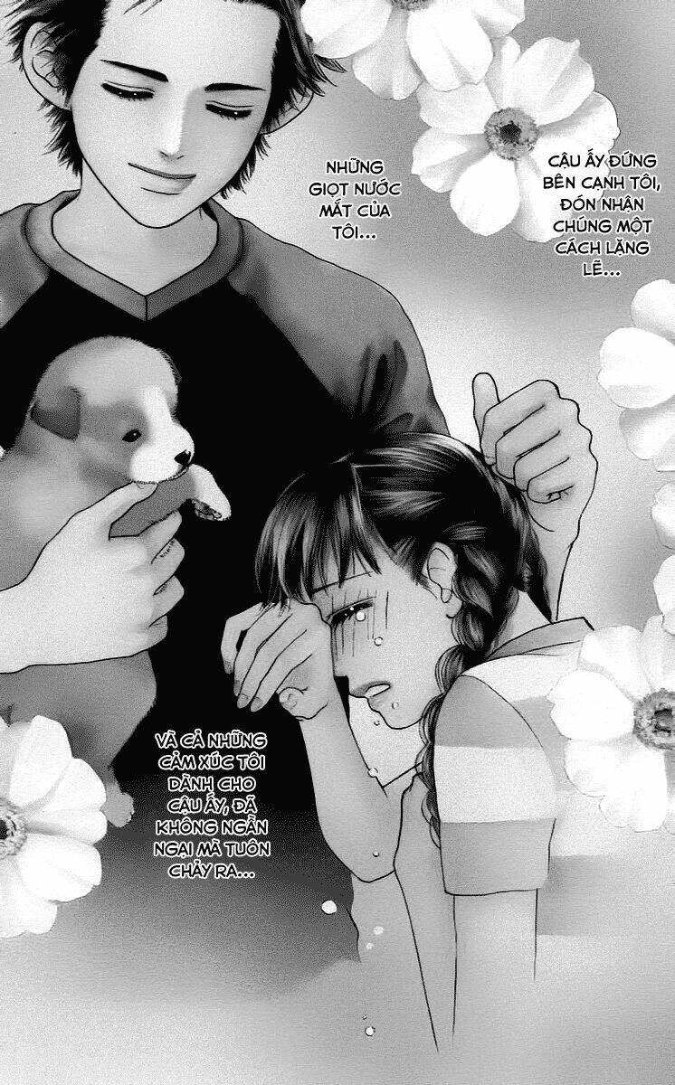 parfait tic - cô láng giềng chapter 10 4