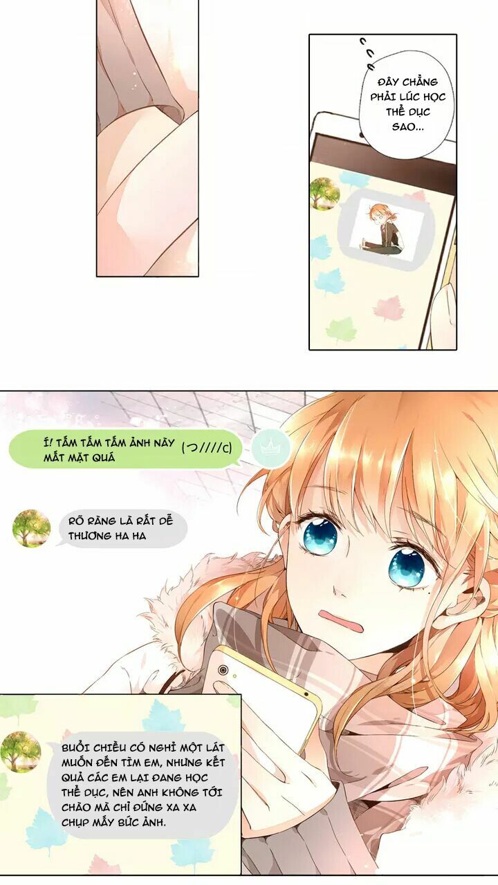 Tình yêu là màu hoa anh thảo chapter 16.3 18