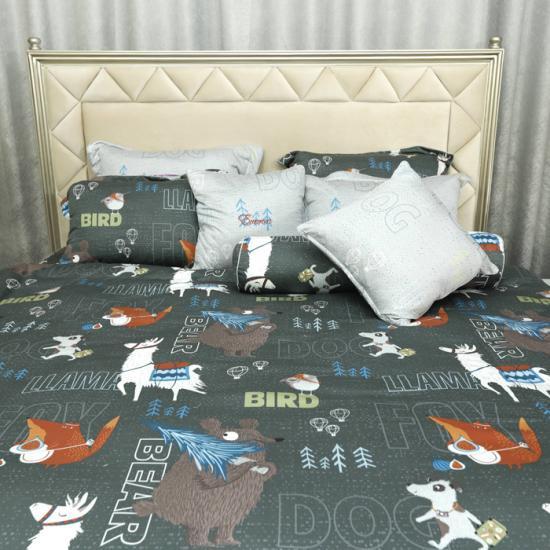 Vỏ gối epc20051 45*65, 35*50