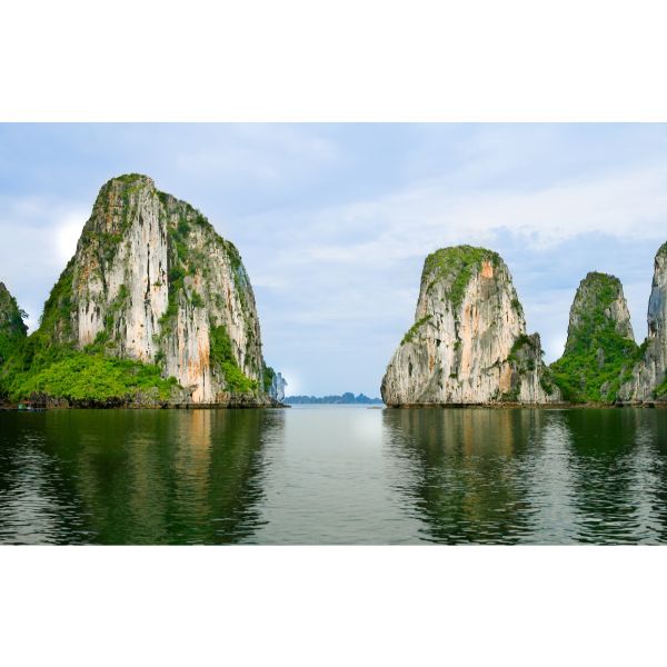 Giấy dán tường - 91