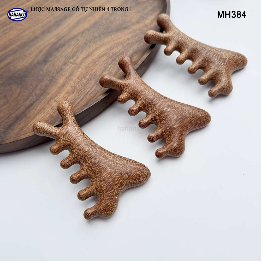 Lược Massage Dụng Cụ Làm Đẹp Chuyên Nghiệp Gỗ Tự Nhiên 4 Trong 1 - HAHANCO - MH384