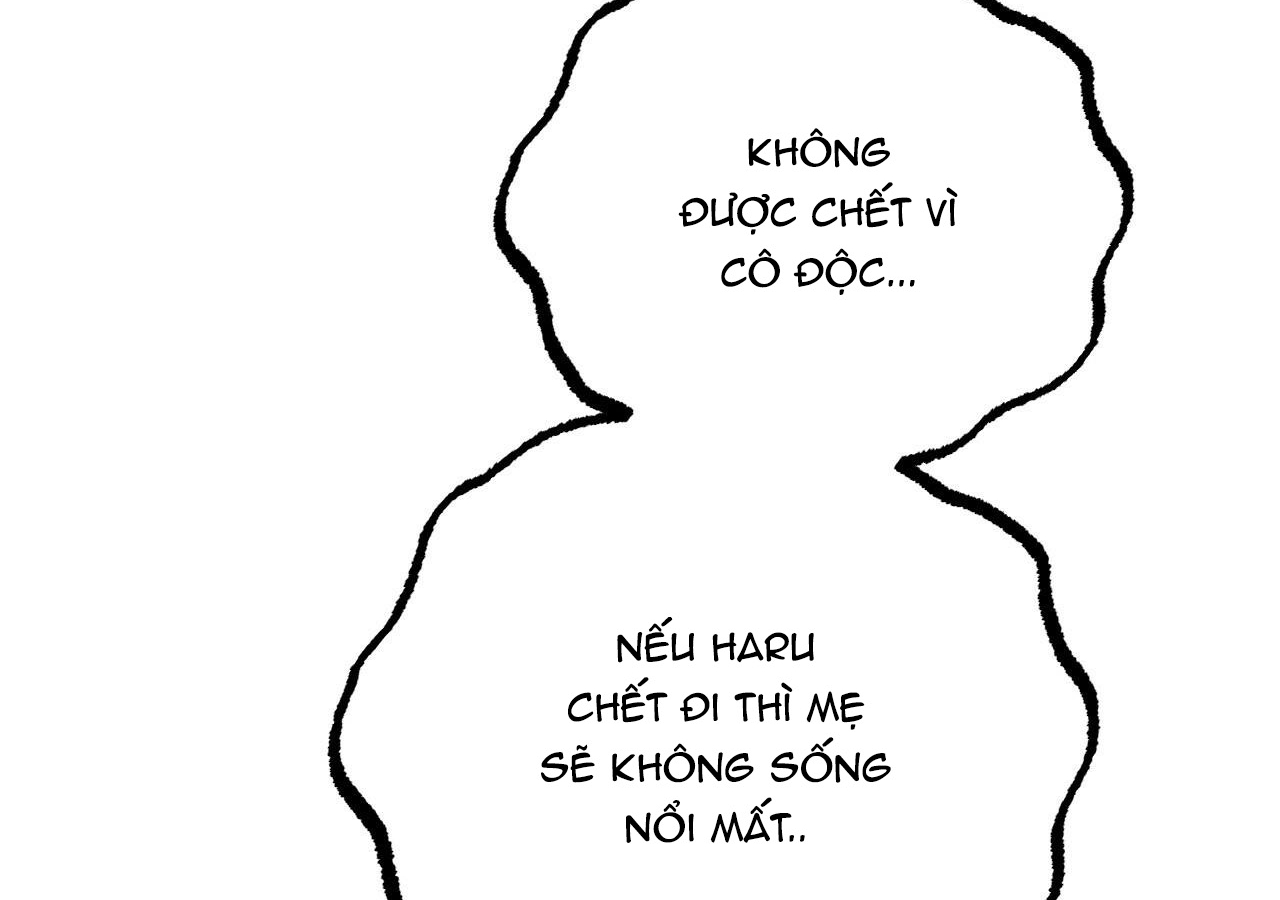 đàn thỏ của habibi chapter 20 249