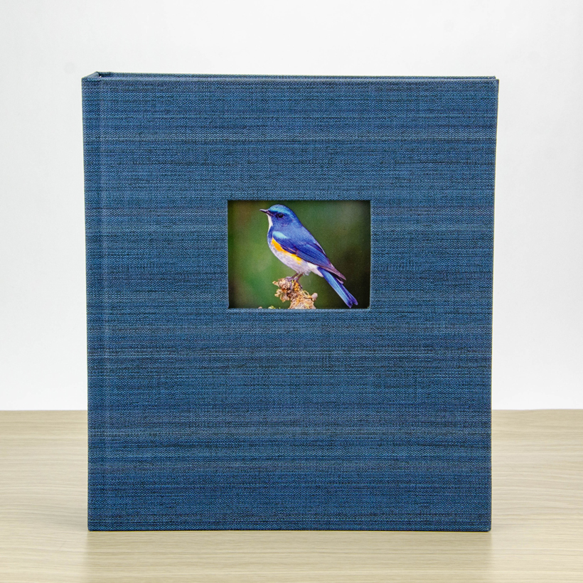 Album Avatar 13x18cm - 200 hình - Album Nguyễn Trắc AV-572