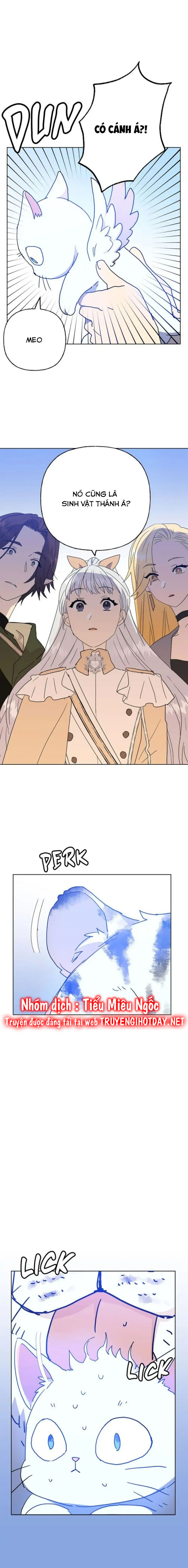 bình tĩnh nào, tiểu thư! chapter 56 11