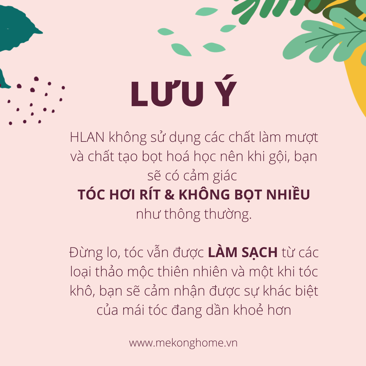 Dầu Gội Thảo Mộc Tươi H*LAN - Tóc Thường - 300ml