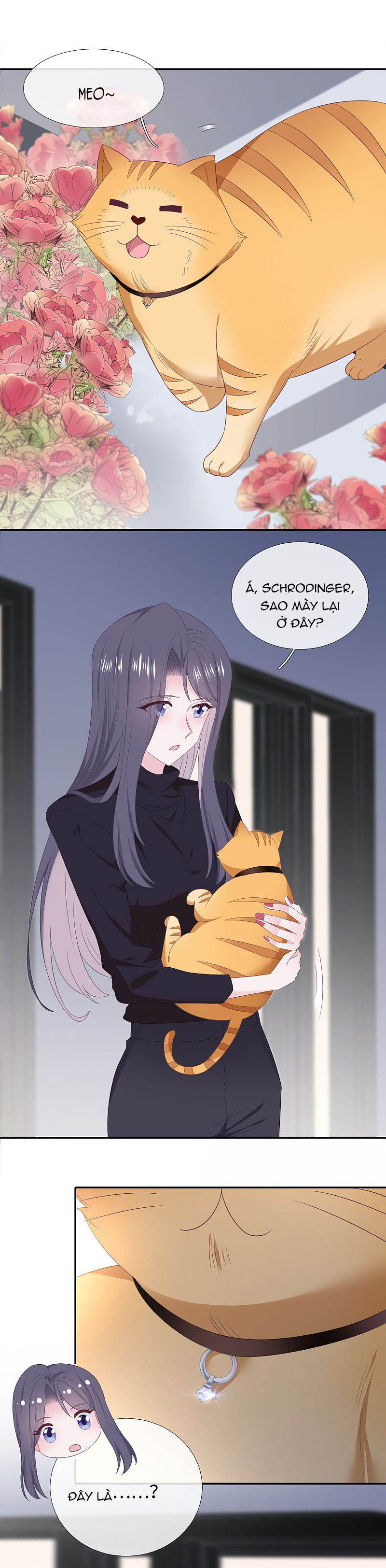 cái thùng cơm sát vách chapter 91 10