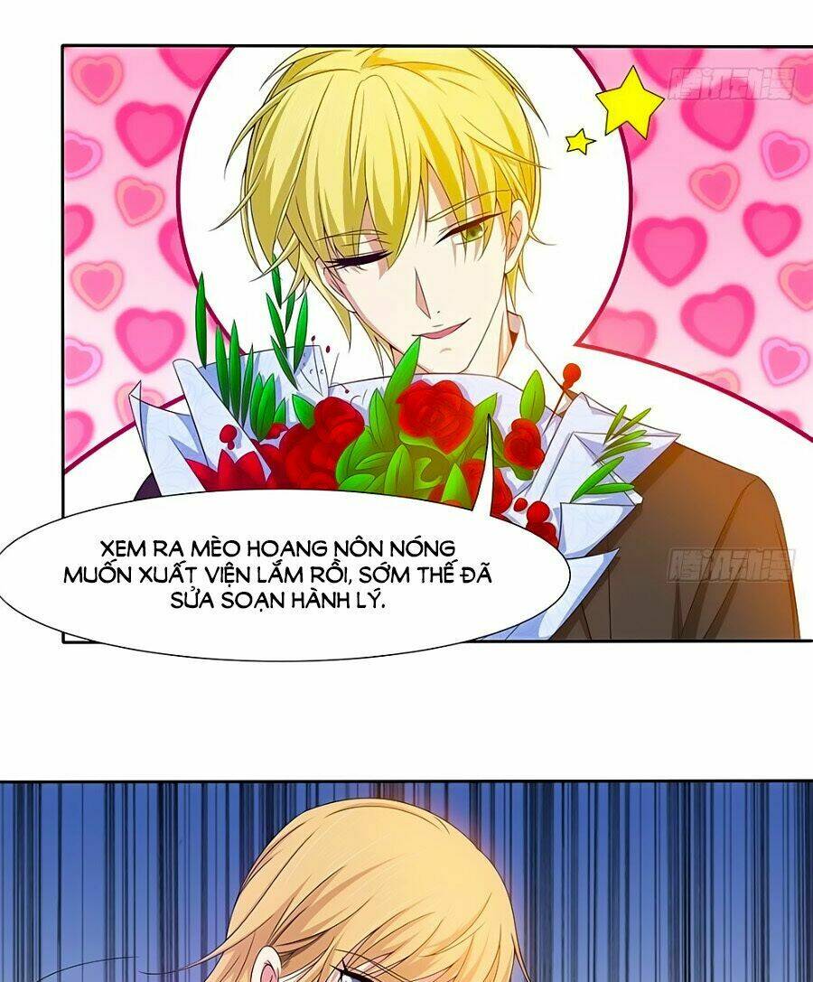 chủ tịch và nữ sát thủ chapter 29 2