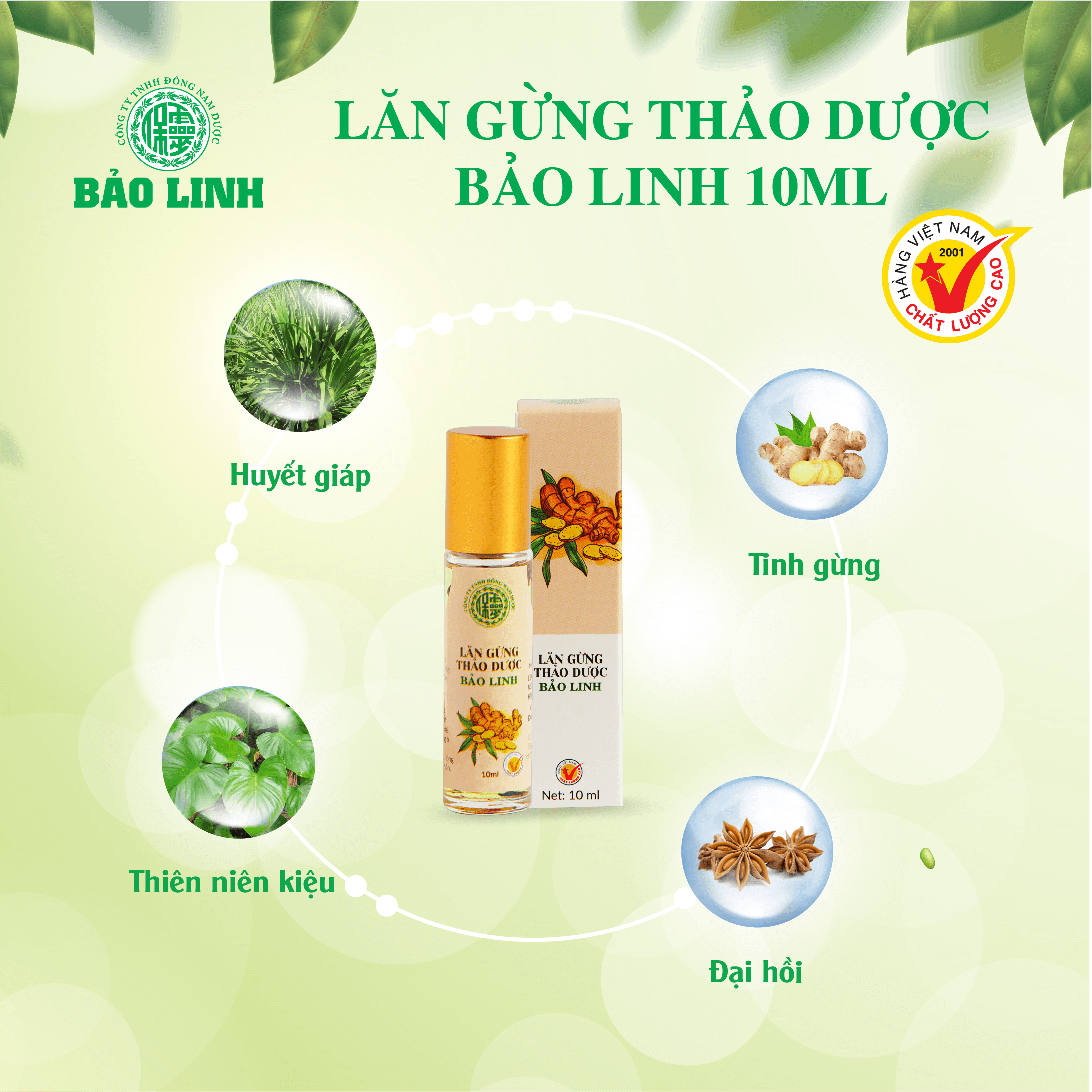 Dầu Lăn Gừng Thảo Dược 10ml