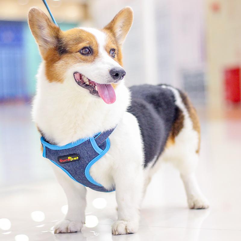 Giá thấp nhất Phương pháp Corgi mới của Amazon dây xích dắt chó vừa và nhỏ xích xích chó dây đeo ngực denim bộ dây xích
