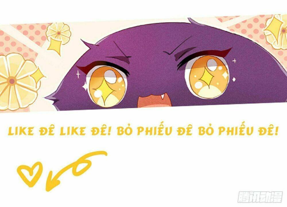 làm mèo của ta chapter 5 24