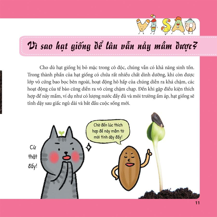 Sách Bách Khoa Tri Thức Dành Cho Trẻ Em Tiến Sĩ Mèo Thông Thái Thực Vật Diệu Kì - Minh Long