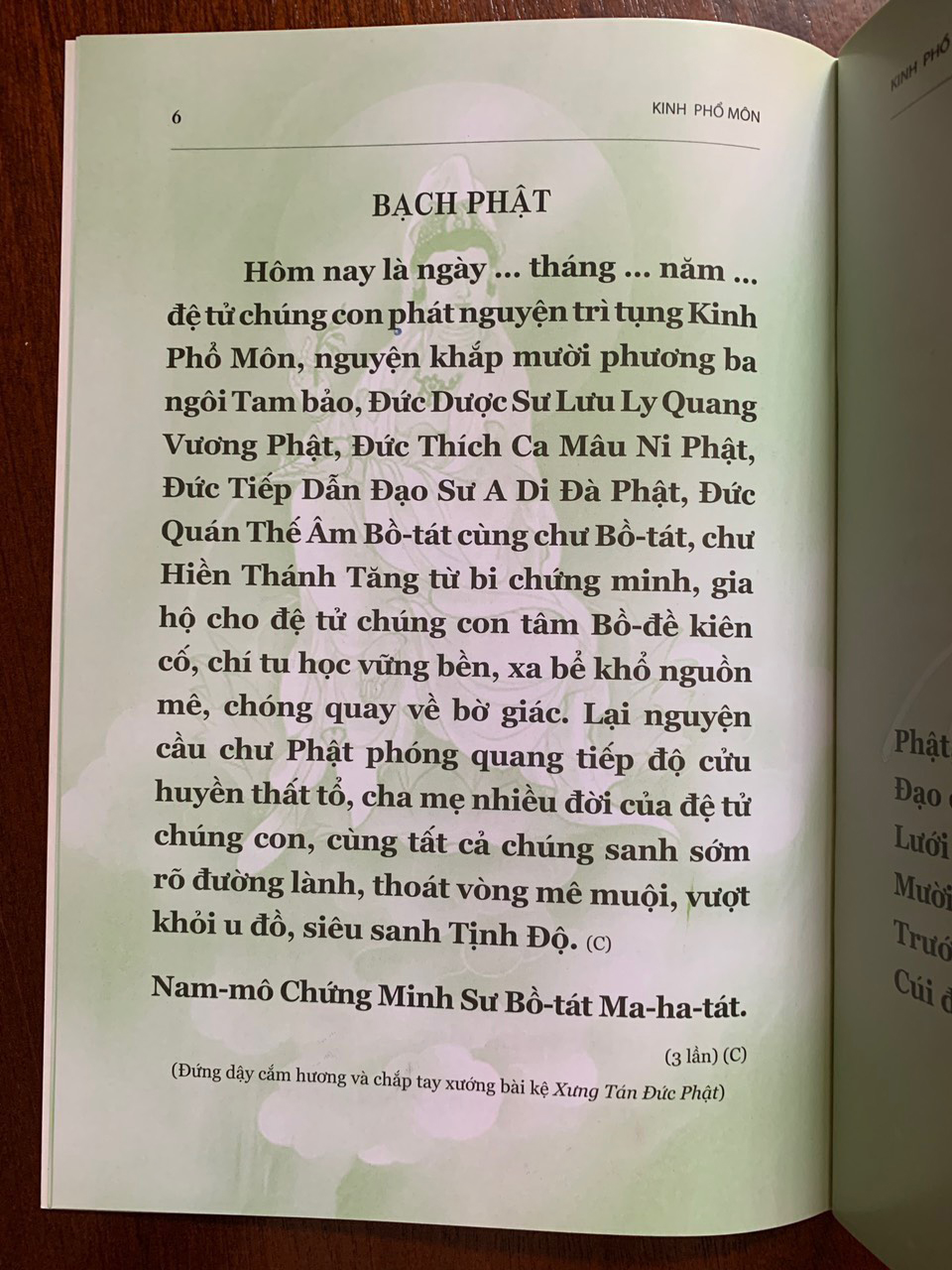 Kinh Phổ Môn - thầy Thích Trí Tịnh
