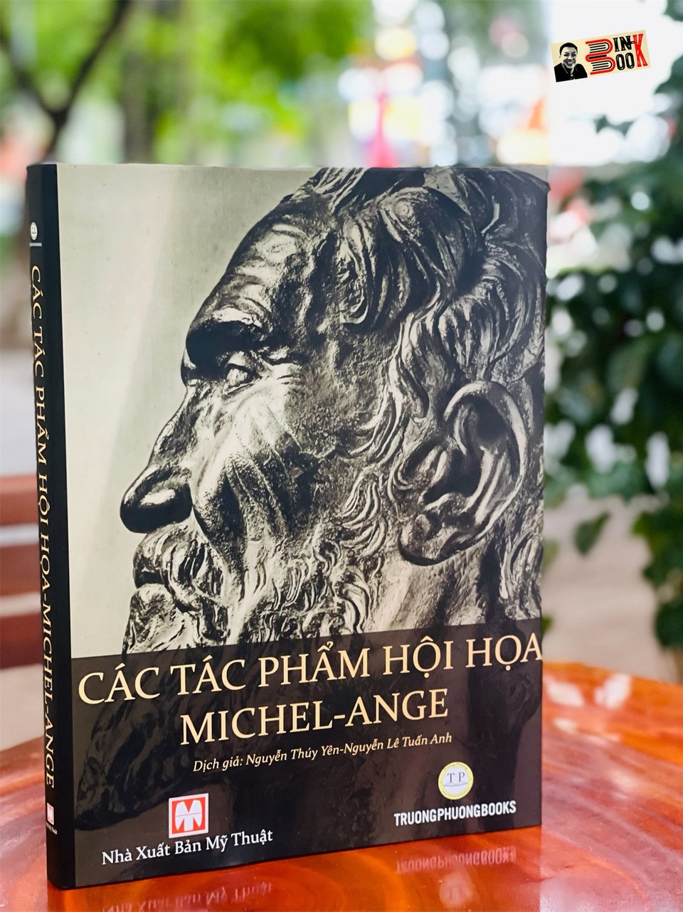 CÁC TÁC PHẨM HỘI HỌA MICHEL-ANGE – Ấn bản Phaidon Press - Trường Phương Books – NXB Mỹ Thuật