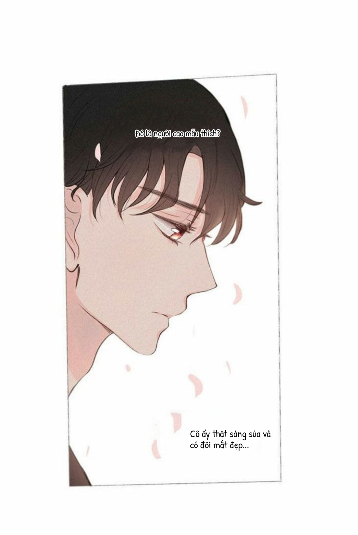 nỗi buồn của hoa cẩm tú cầu chapter 20 18