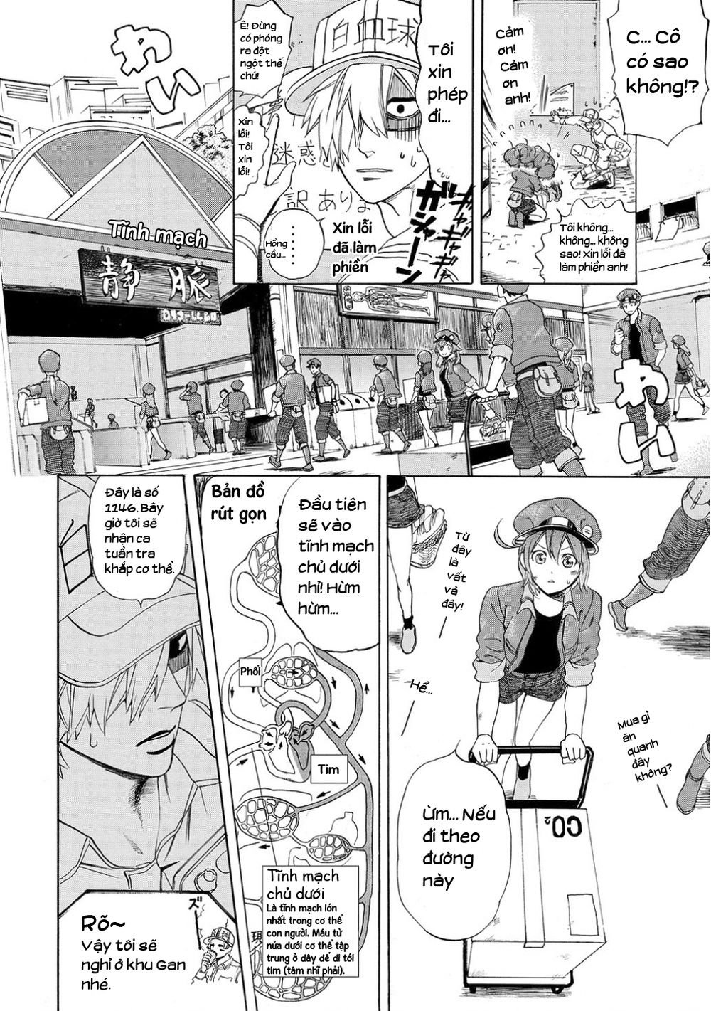 hataraku saibou! chapter 10 10