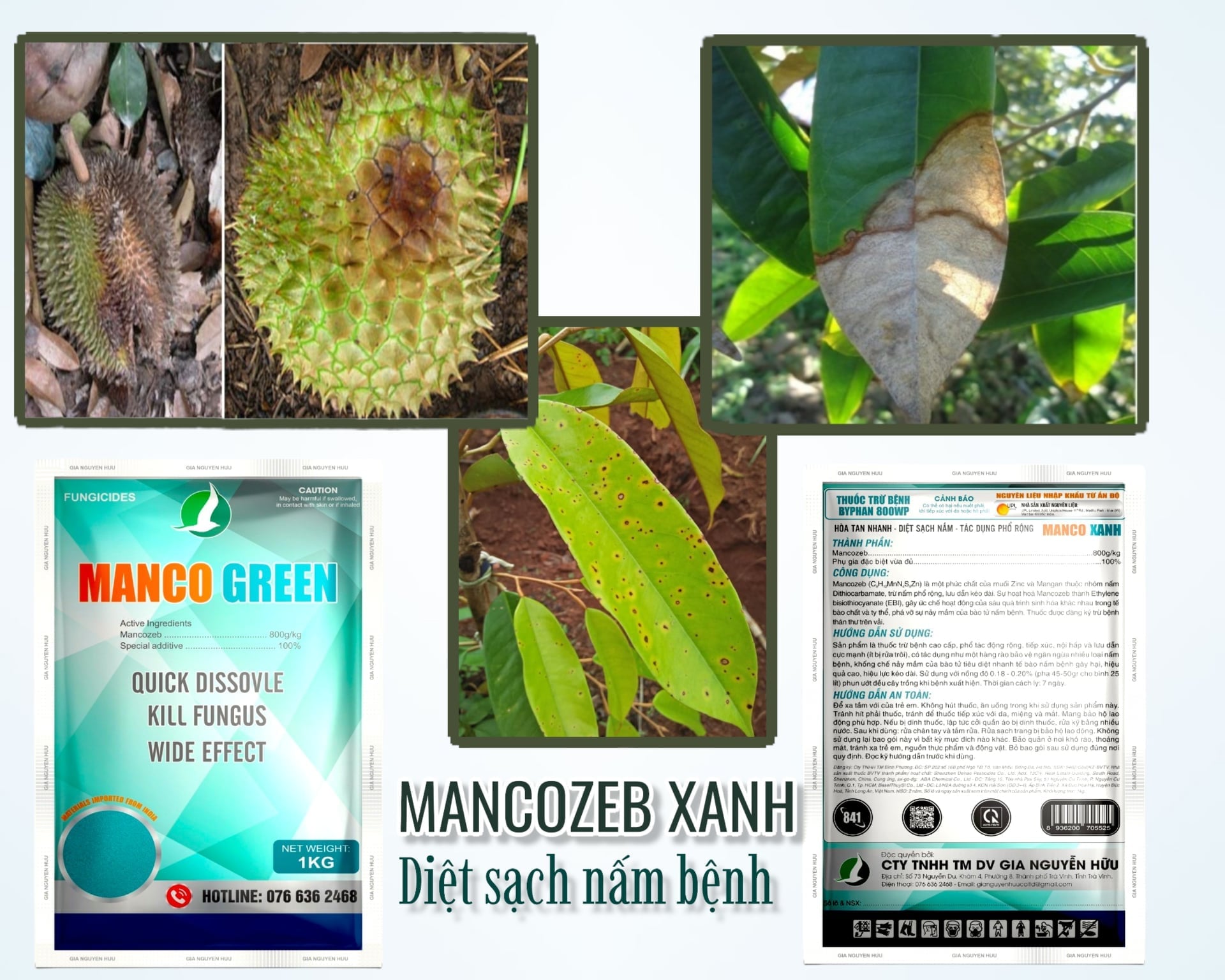 MANCOZEB XANH ĐÁNH BAY NỖI LO NẤM BỆNH TRÊN CÂY TRỒNG VỚI GÓI 100G VÀ 1KG