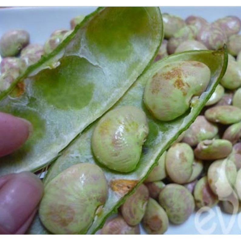 Hạt giống đậu hồng ngự dể trồng f1-gói 5 hạt-tặng kèm gói phân bón lót