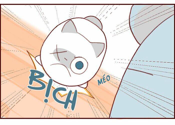 saphie: chú mèo một mắt chapter 3 12