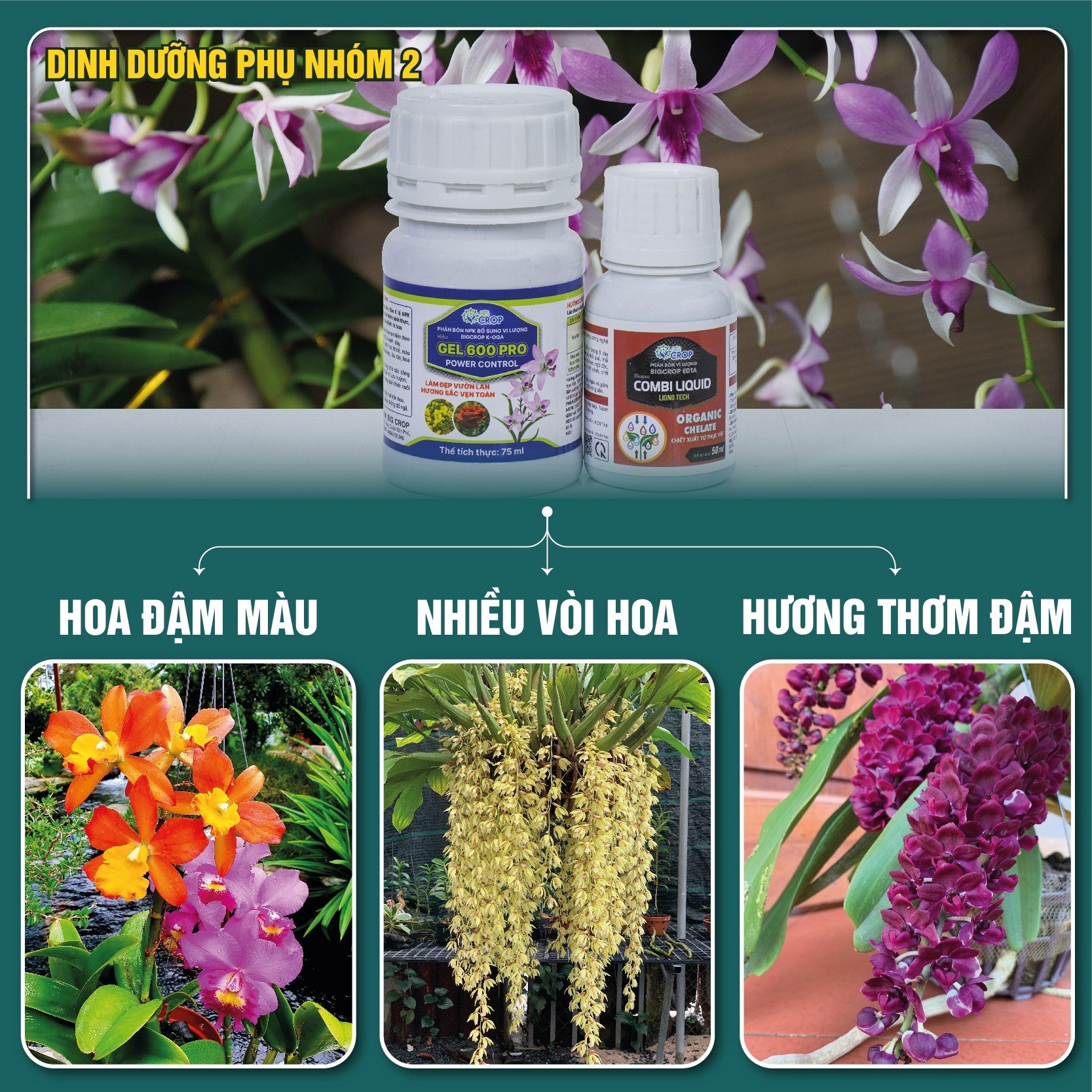 NHÓM 2 COMBO8 50 - Phân bón làm hoa, giúp vòi dài, hoa thơm, lâu tàn, giúp cây chống chọi nắng nóng, lạnh rét size Trung