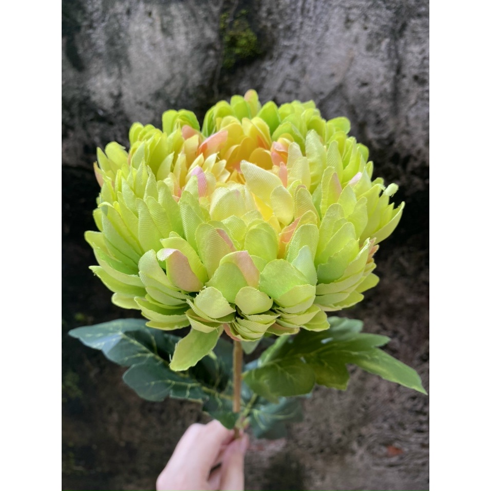 Hoa giả - Cành cúc mẫu đơn nhân tạo giống thật đến 99%, cao 58cm sang trọng cao cấp, hoa decor trang trí