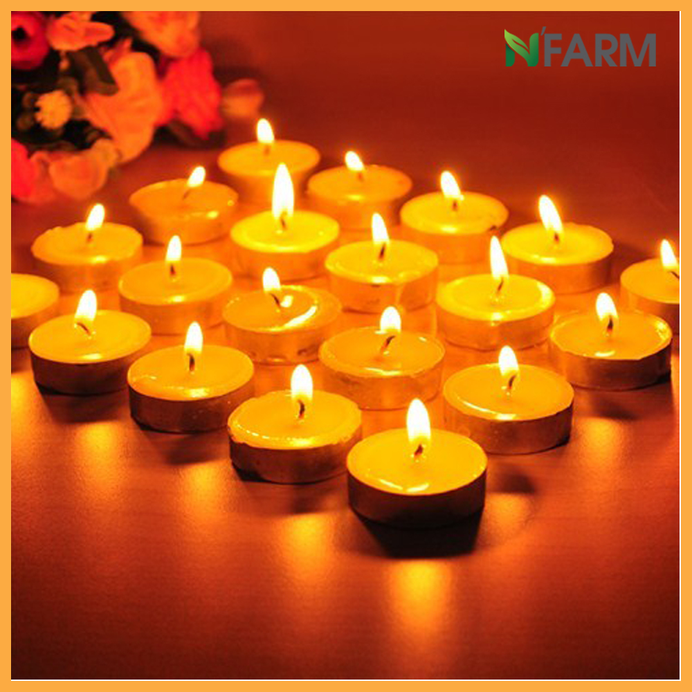 Hộp 100 Viên Nến Tealight Sáp Cọ N'Farm An Toàn Sức Khỏe / Dùng kết hợp đèn xông và tinh dầu/ Khử mùi và đuổi côn trùng hiệu quả.
