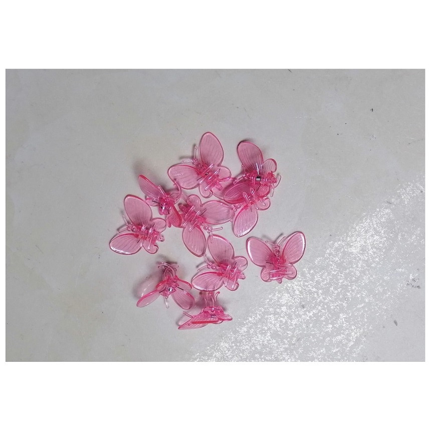 TÚI 10 KẸP BƯỚM TRỒNG LAN SIÊU ĐẸP