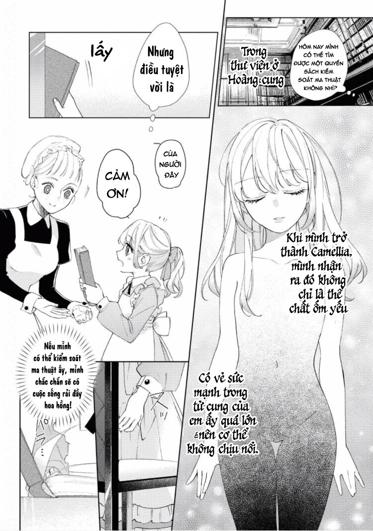 các cô nàng tiểu thư không thể cưỡng lại anh chồng mê người của mình chapter 9.1 12