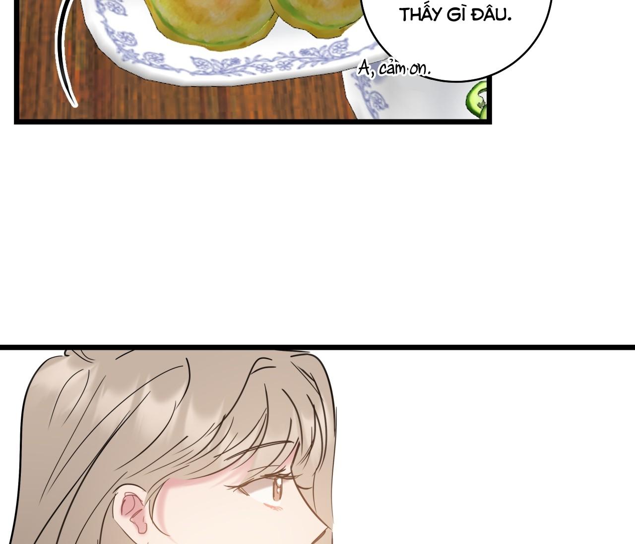 tình yêu bình dị nhất chapter 8 102