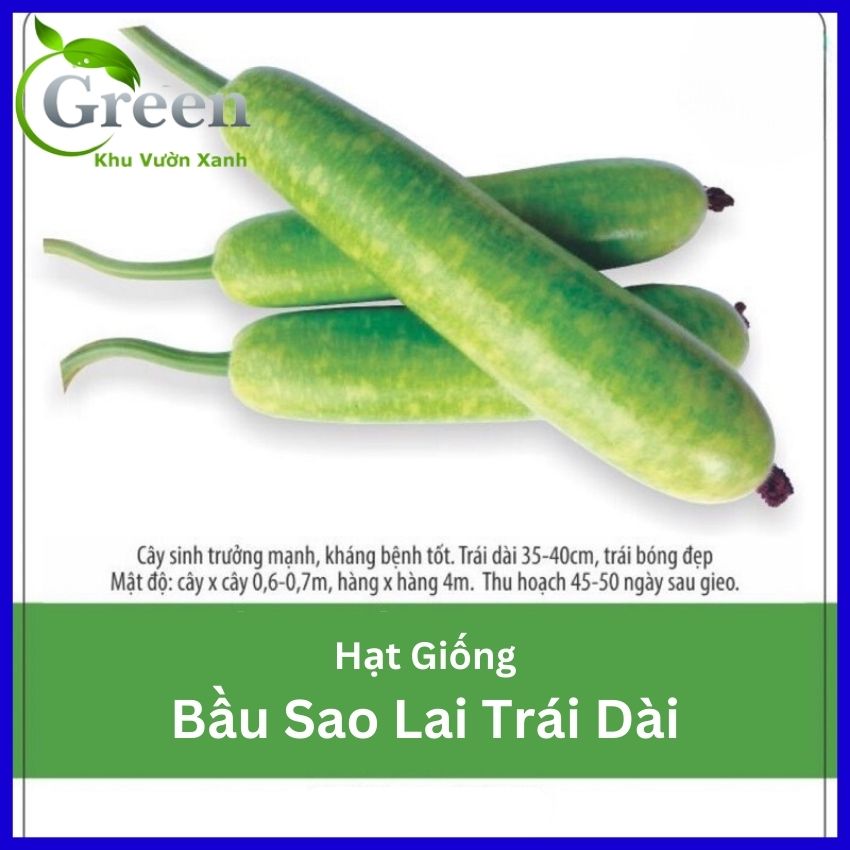 Hạt Giống Bầu Sao Lai Trái Dài